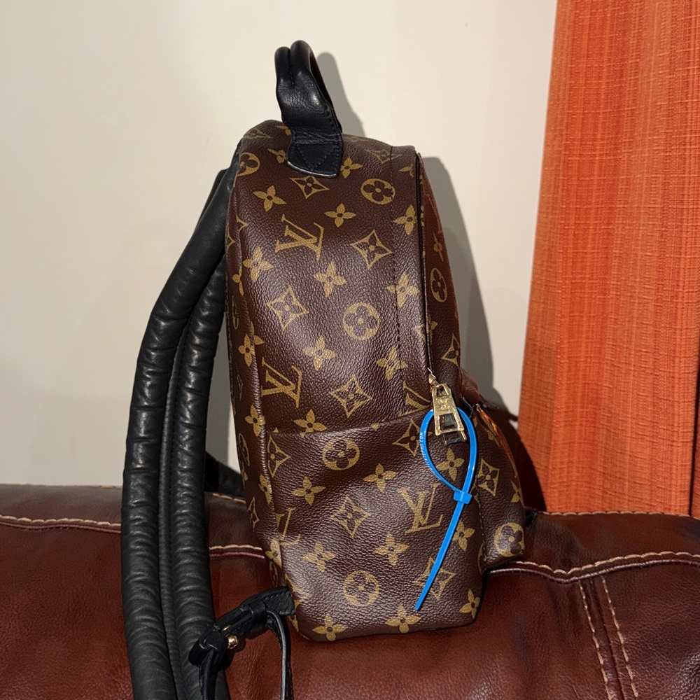 🔥🔥🔥Authentic Louis Vuitton Monogram Palm Springs Backpack PM - Picture 6 of 16